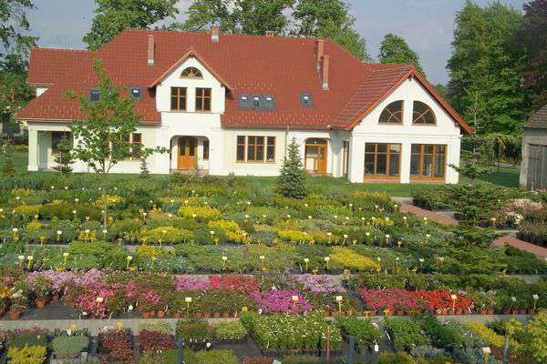 centrum-ogrodnicze-1