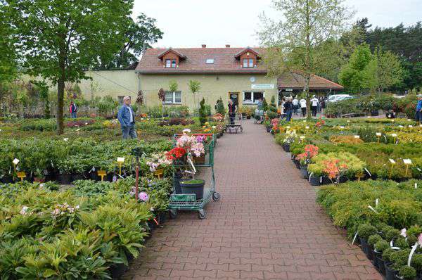 centrum-ogrodnicze-10