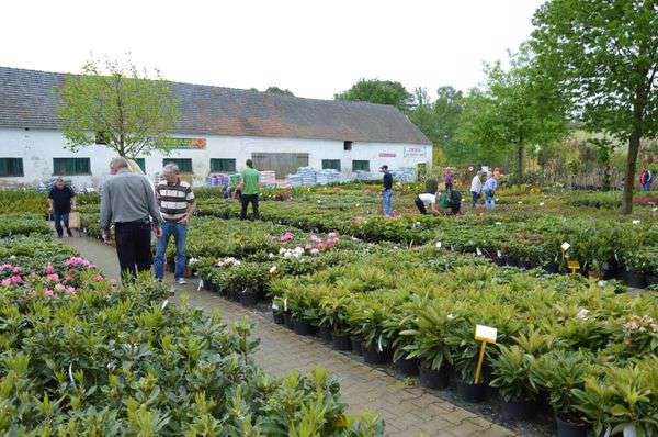 centrum-ogrodnicze-11