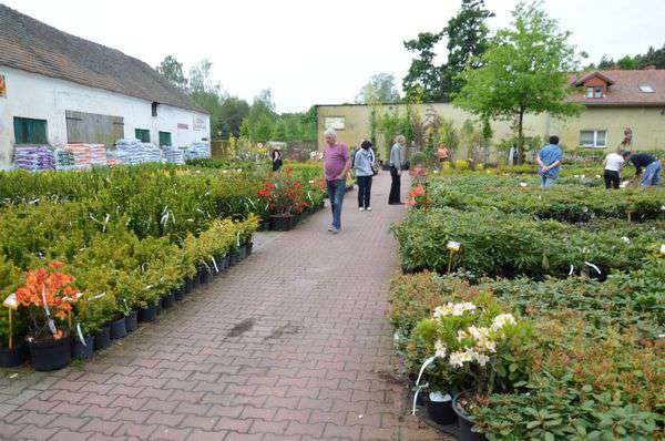 centrum-ogrodnicze-12