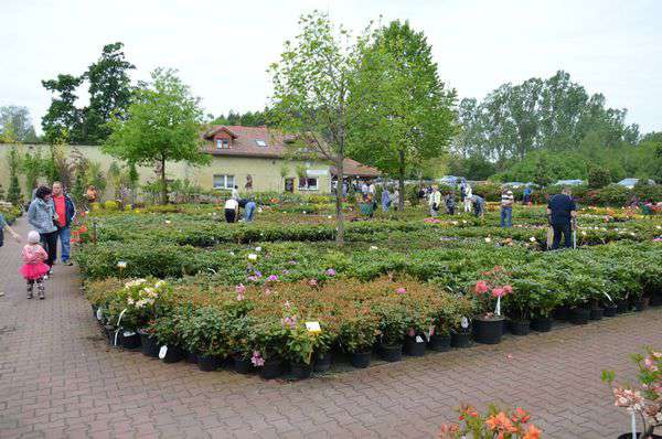 centrum-ogrodnicze-13