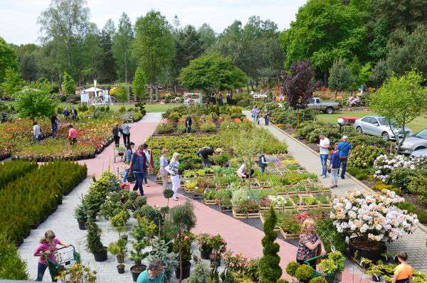 centrum-ogrodnicze-14