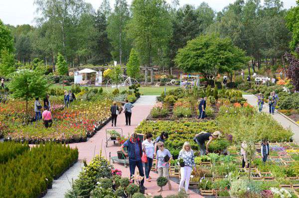 centrum-ogrodnicze-15