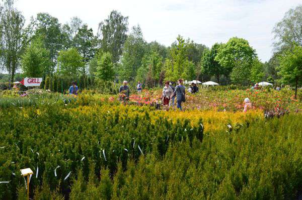 centrum-ogrodnicze-16