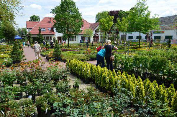 centrum-ogrodnicze-18