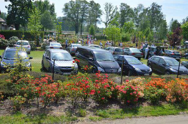 centrum-ogrodnicze-19