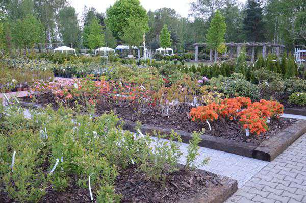 centrum-ogrodnicze-2