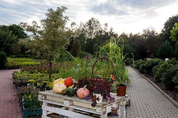 centrum-ogrodnicze-20