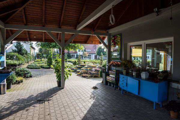 centrum-ogrodnicze-21