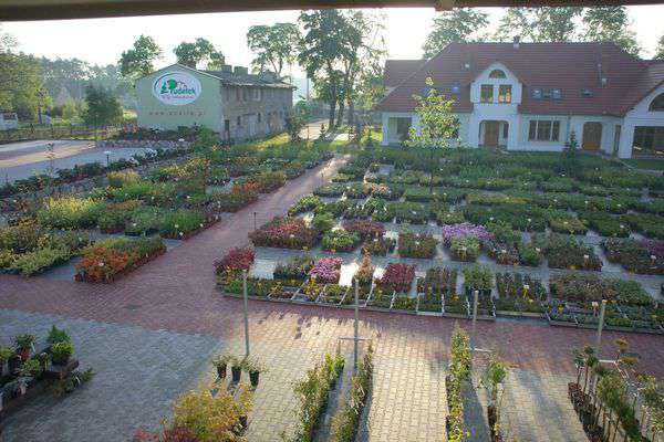 centrum-ogrodnicze-22