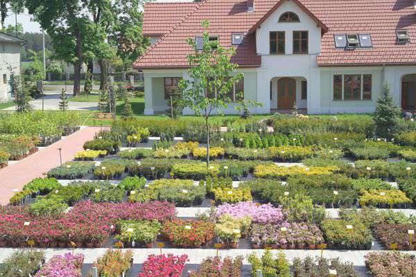 centrum-ogrodnicze-24