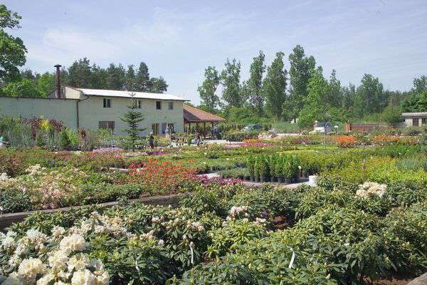 centrum-ogrodnicze-25