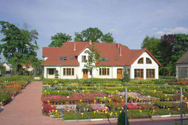 centrum-ogrodnicze-26