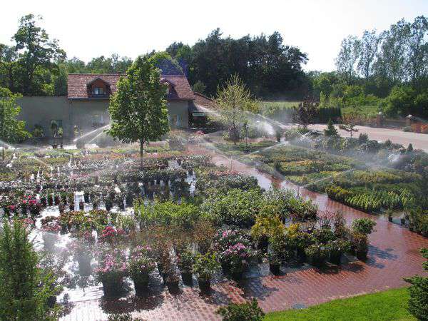 centrum-ogrodnicze-28