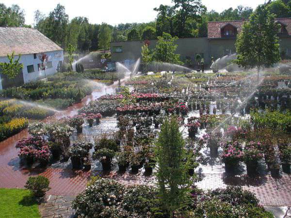 centrum-ogrodnicze-29