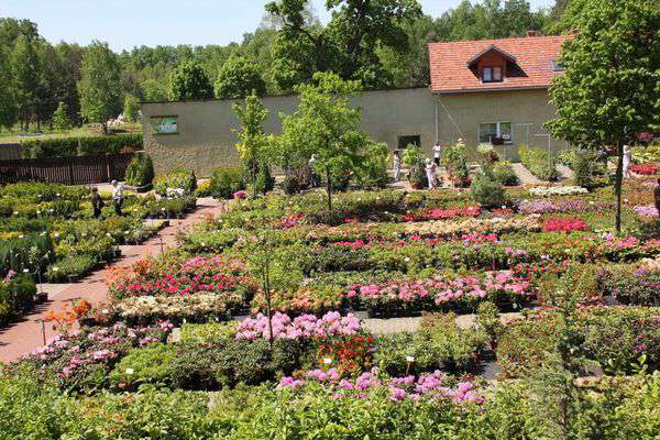 centrum-ogrodnicze-30