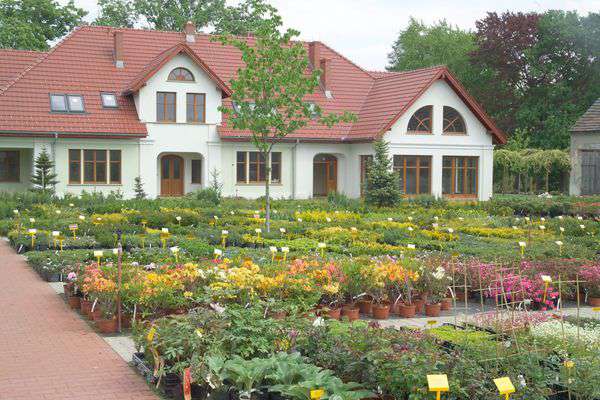 centrum-ogrodnicze-31