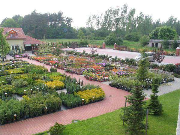 centrum-ogrodnicze-32