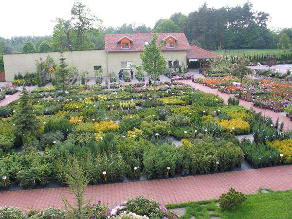 centrum-ogrodnicze-33