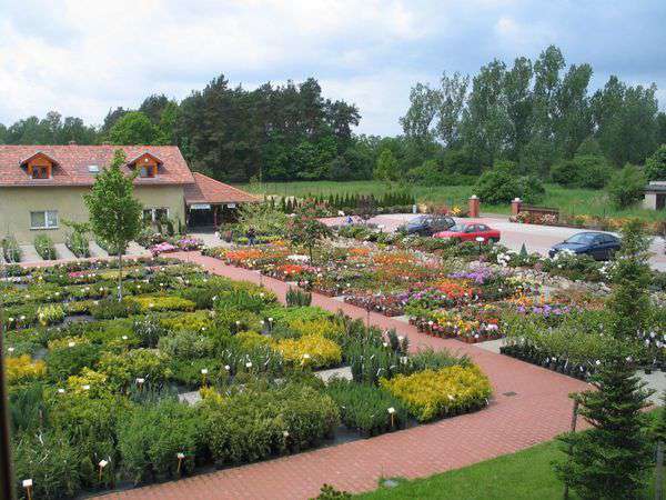 centrum-ogrodnicze-34