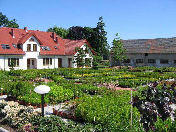 centrum-ogrodnicze-35