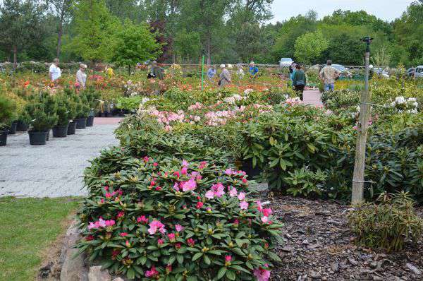 centrum-ogrodnicze-8